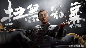 央视扫毒风暴，强强联手，口碑王者？