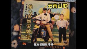 云南山歌全集网盘下载-非遗传承与文化瑰宝