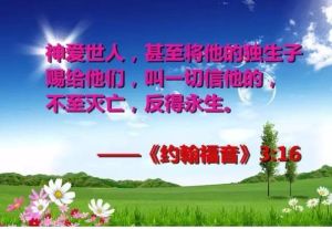 基督教的主要经典-旧约与新约，基督教核心经典