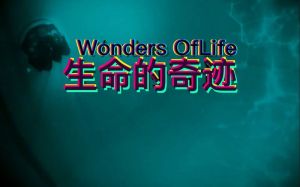 纪录片生命的奇迹国语-探索生命起源多样性与地球家园