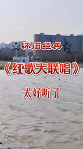 老歌连唱100首经典-海量老歌情歌免费听，带你回到那些年